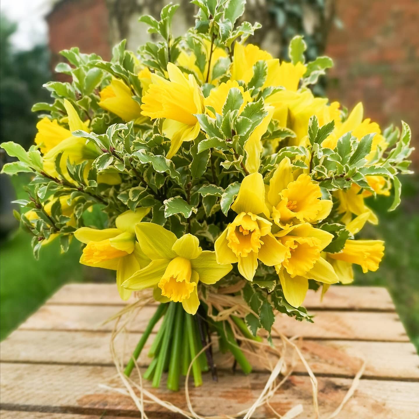 FAREWELL FLOWERS 

The simplist of funeral tributes but still so beautiful &amp; colourful. 

Massed hand-tied spring bunch of daffodils with greenery and raffia tie.

#solacefuneralflowers #remberance #flowersofinstagram #funeralflowersbanbury #Fune