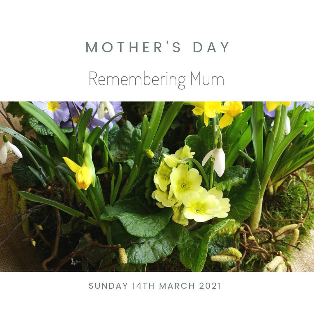 'Remembering Mum' 

I will be creating these beautiful 'living wreaths' as part of our Mother's Day collection. Full of spring flowering plants and bulbs, these will continue to flower and grow after Mother's Day.

Pre orders must be recieved by Wedn
