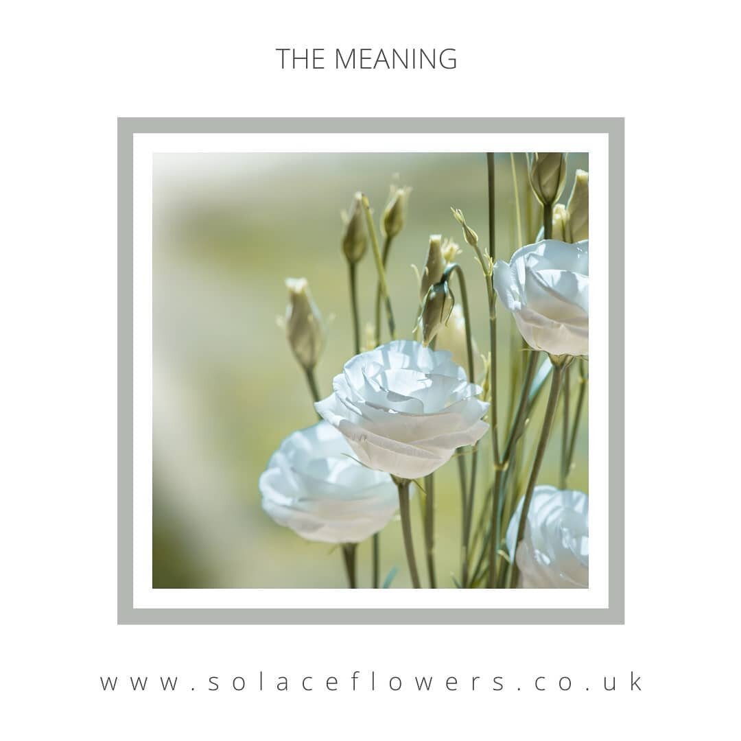 Lisianthus with its graceful stems are loaded with blooms in a range of soft colors and bicolors in white, yellow, champagne, apricot, pink, blue and purple.

This flower represents admiration and gratefulness and works particularly well in our natur