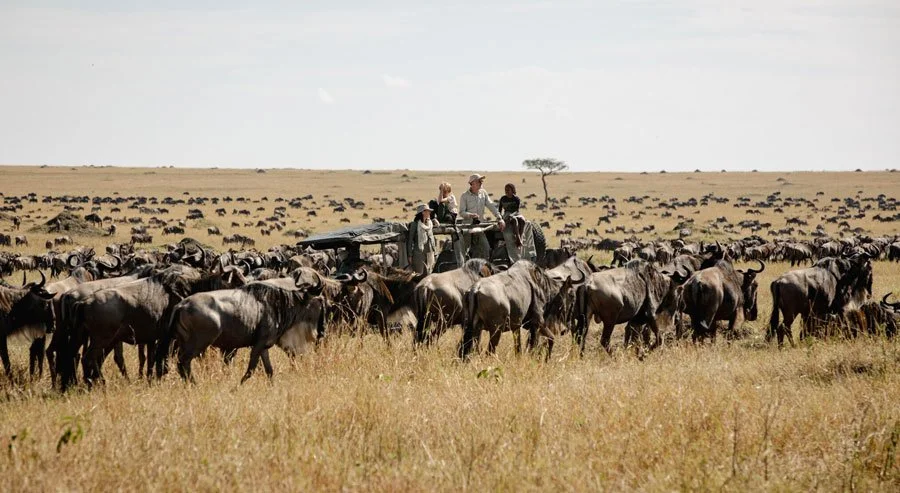 Borana Lodge i Laikipia – klassisk safariluksus i høyden.