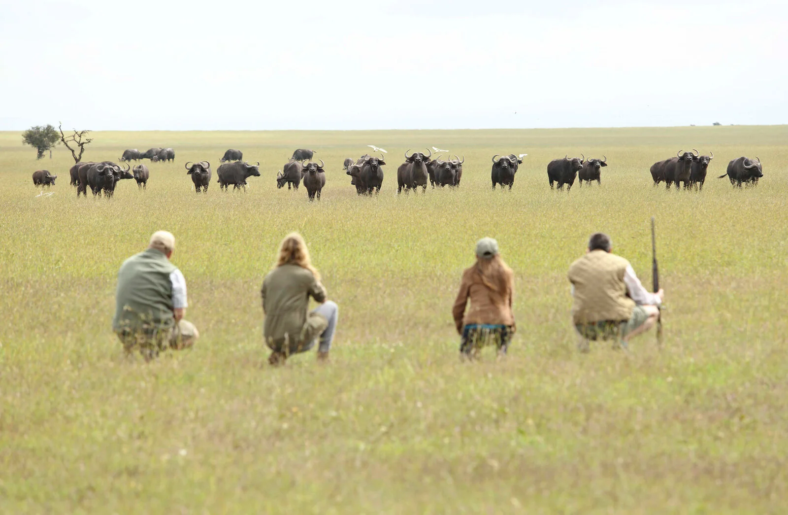 Gåsafari i private conservancies i Masai Mara, Kenya, med lokal guide i åpent landskap.
