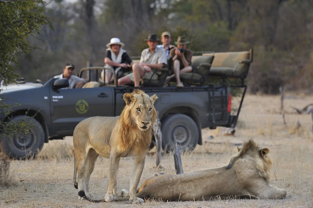 Kaingo Camp — Special Africa - LIVE THE WILD | Best på safari i Afrika