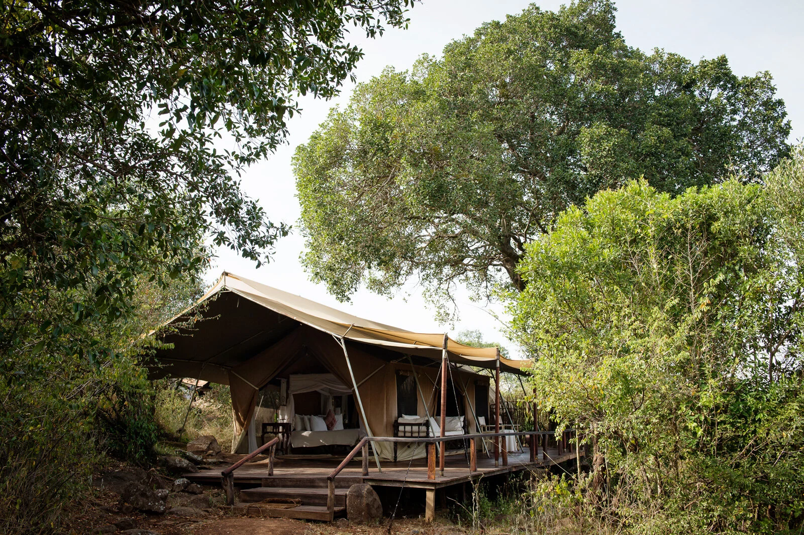 erbkrnDSC_7657.jpgSerianTheOriginal,MaasaiMara.jpg