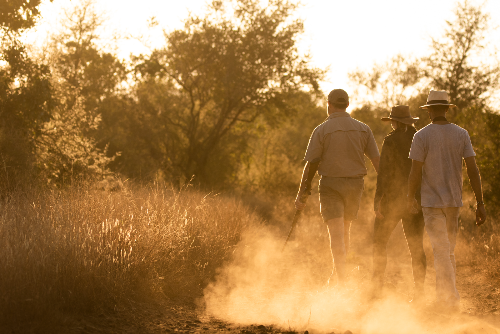 Gjester på walking safari i Afrika til fots gjennom savannen i gyllent kveldslys