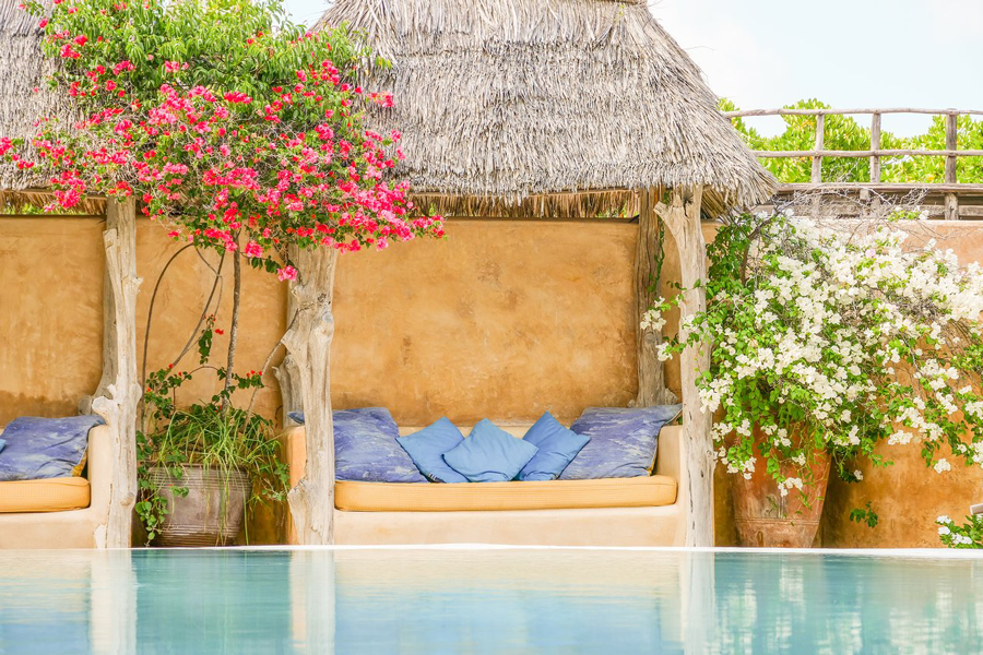 Lamu Island med autentisk kystkultur og rolig atmosfære etter safari i Kenya