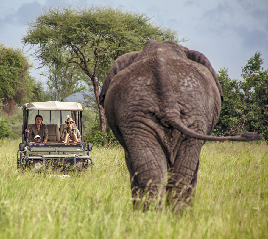 Bryllupsreise i Tanzania