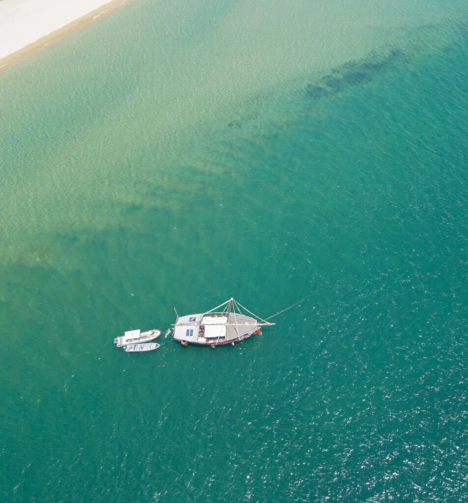 Safari og strand i Kenya – luksusreise ved Det indiske hav