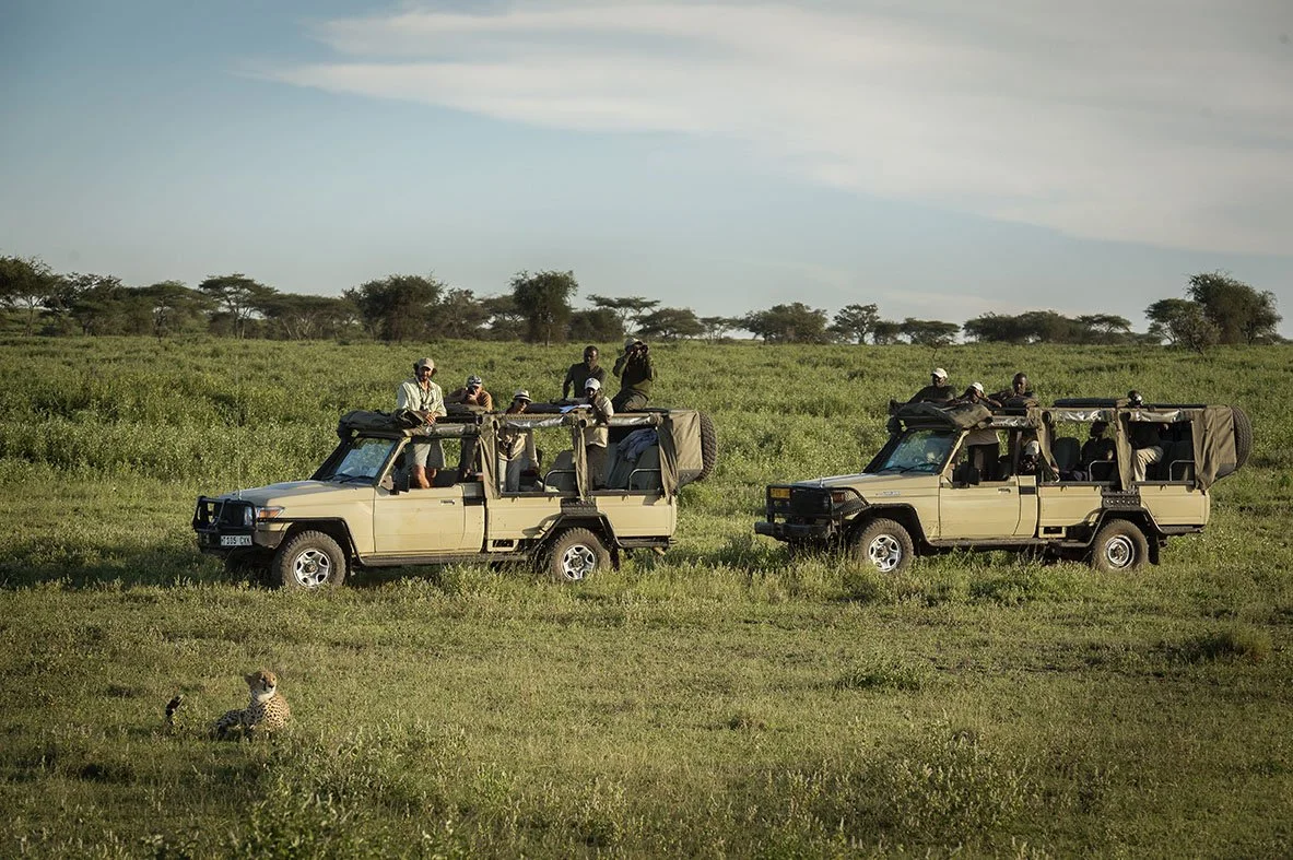 Game Drive og Gepard i Serengeti