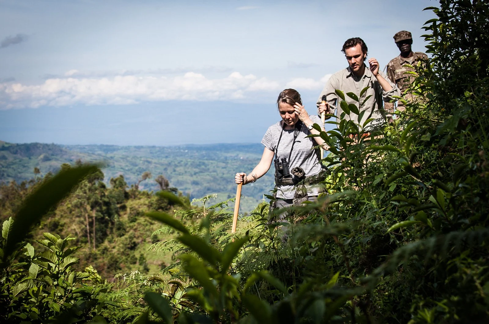 Guide i regnskog i Uganda under gorilla trekking i Bwindi nasjonalpark