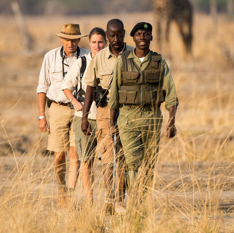 5 tips til den første safarien – gode råd og praktiske tips for å planlegge din første safarireise i Afrika til Tanzania, Kenya, Botswana, Sør-Afrika m.fl.