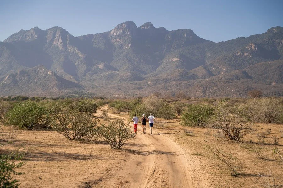 Joggetur gjennom Mathewsfjellenes villmark – safari utenfor allfarvei i Nord-Kenya.