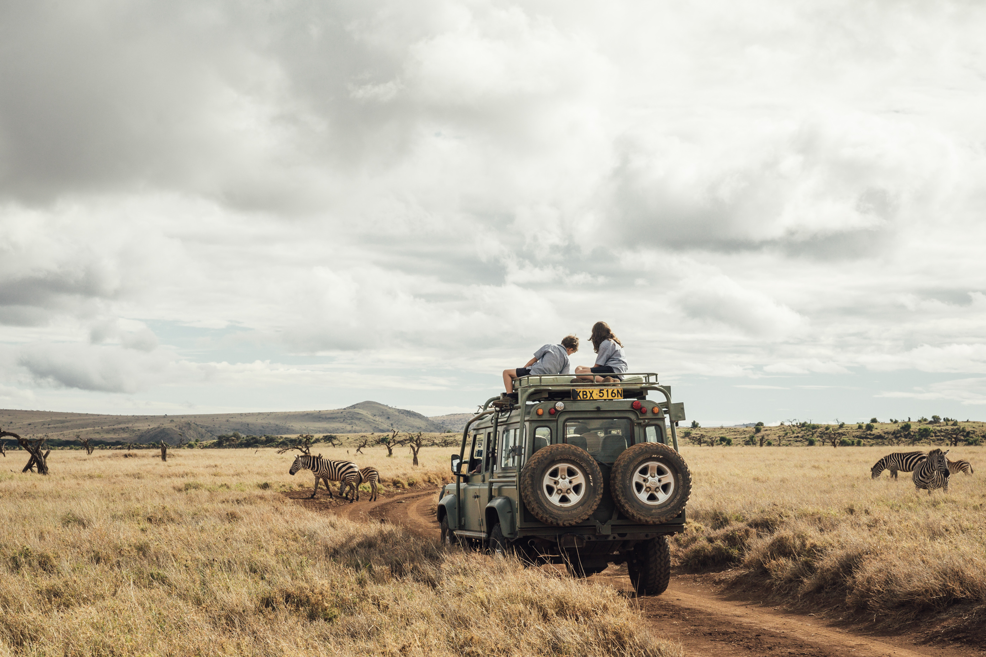 Safaribil med gjester og sebraer på savannen i Lewa, Kenya.