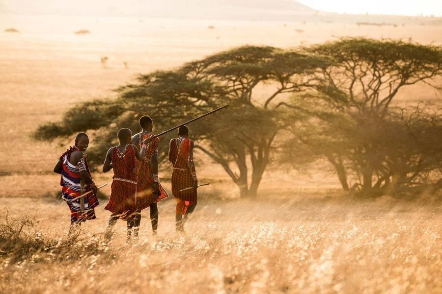 Safari i Kenya er selve essensen av klassisk Afrika – store sletter, rå natur og øyeblikk dere aldri glemmer.