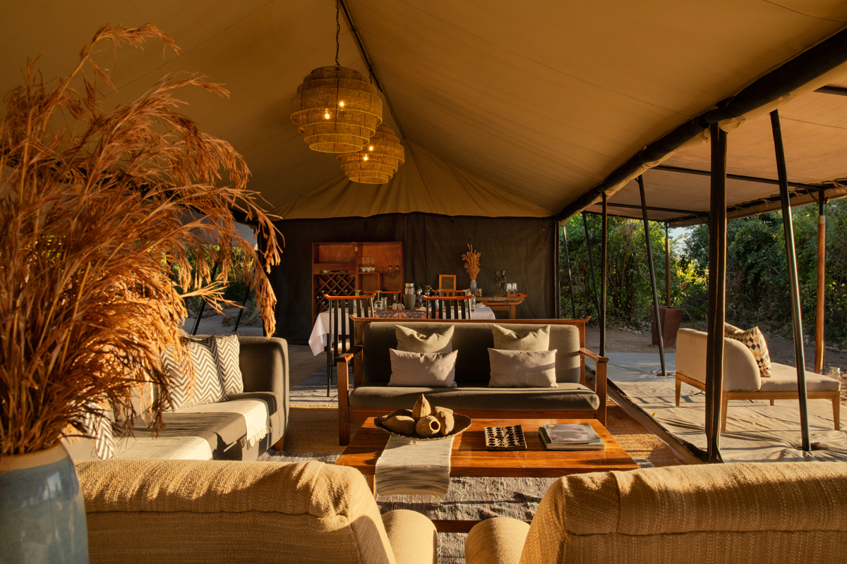 Kokoko Camp – autentisk luksussafari i Ruaha, Tanzania — Special Africa ...