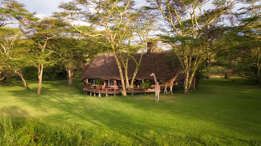 Maasai-krigere i Masai Mara – kultur og safari side om side.