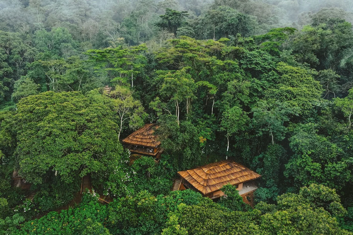 Luksus lodge midt i regnskogen i Bwindi sett ovenfra, magisk og nyoppusset opplevelse i Uganda
