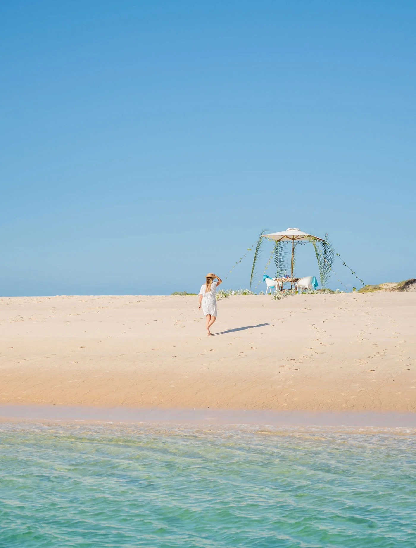 Safari i Okavango-deltaet kombinert med hvite strender i Mosambik