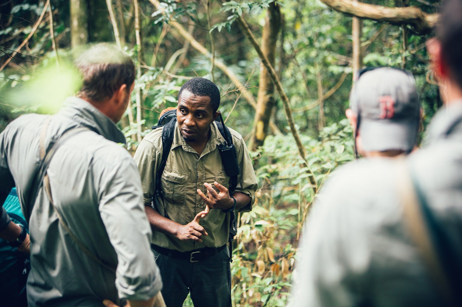 Sjimpansetrekking i MAHALE NASJONALPARK - et unikt safariøyeblikk i Tanzania