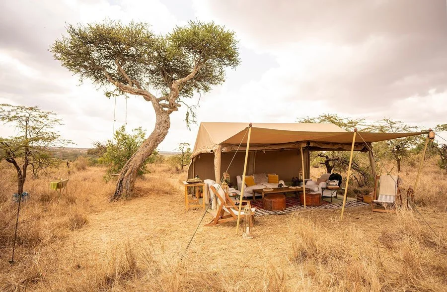 El Karama Wild – enkelt telt og autentisk safari i Laikipia.