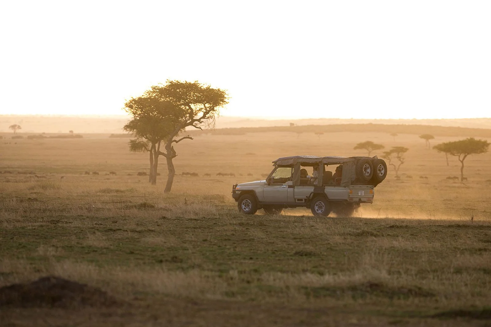 Safari i Serengeti med Serian’s Serengeti Lamai – game drives gjennom åpne landskap nord i Tanzania.