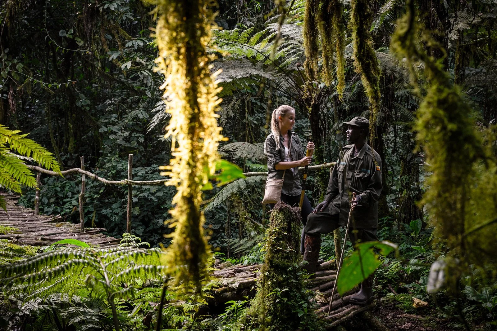 Guide og reisende i regnskog under gorilla trekking i Bwindi nasjonalpark