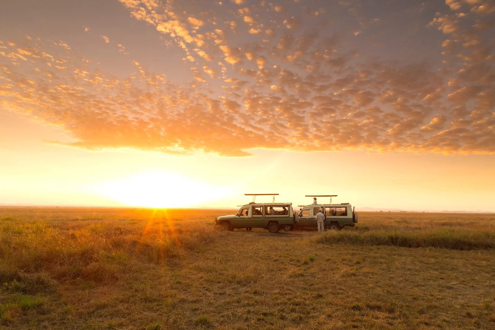 To safaribiler på Serengetis åpne sletter under en gyllen solnedgang med opplyste skyer.