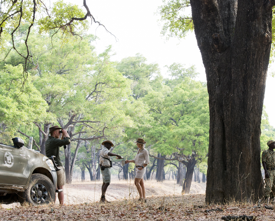 Utforsk safari i Zambia med Special Africa. Våre gjester opplever unike safarier i South Luangwa og langs Zambezielven – med vill natur, elefanter og ekte afrikansk stemning.