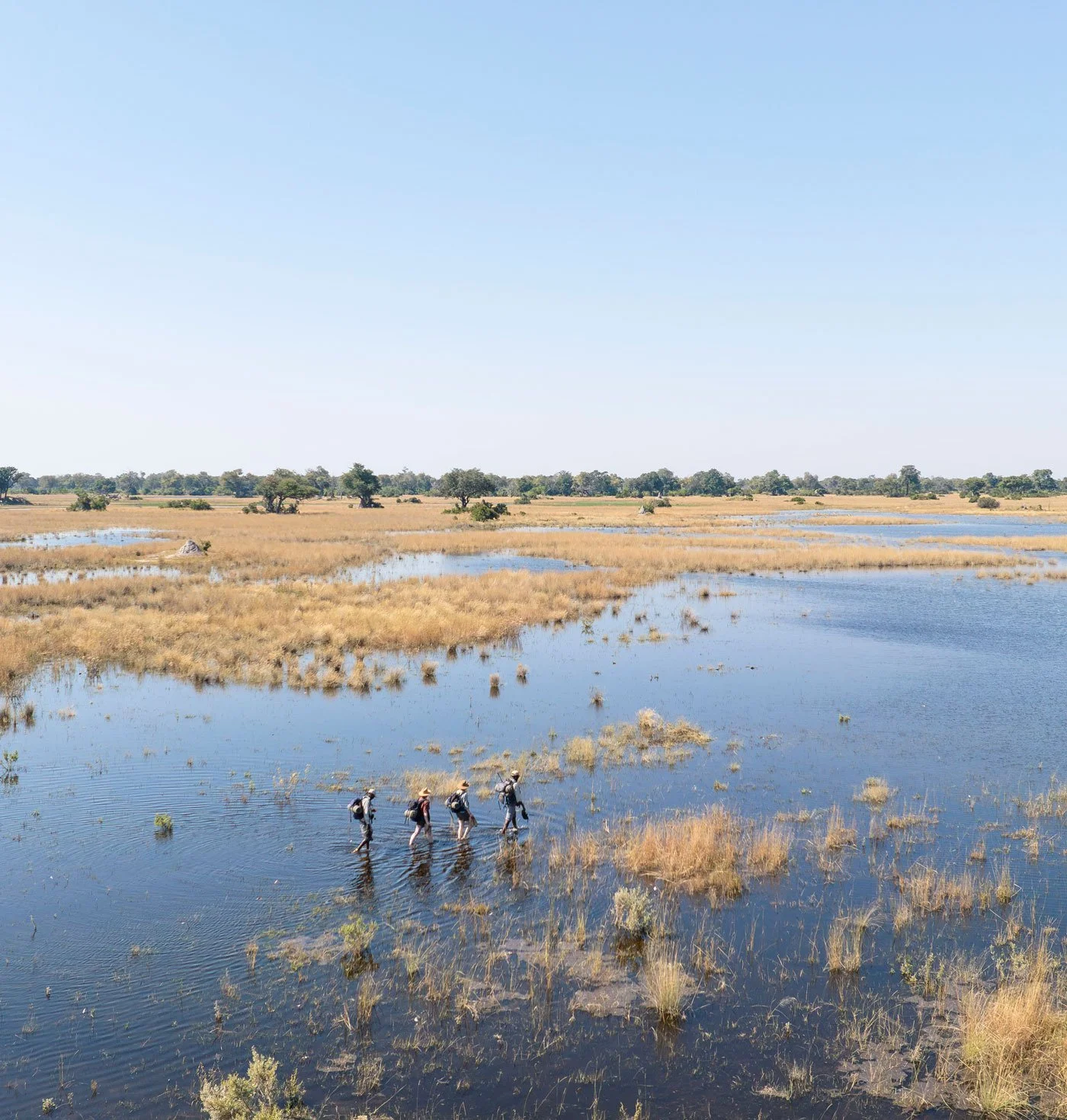 Walking safari i Botswana – en ekspedisjonsbasert safari i Okavango Delta, langt utenfor allfarvei