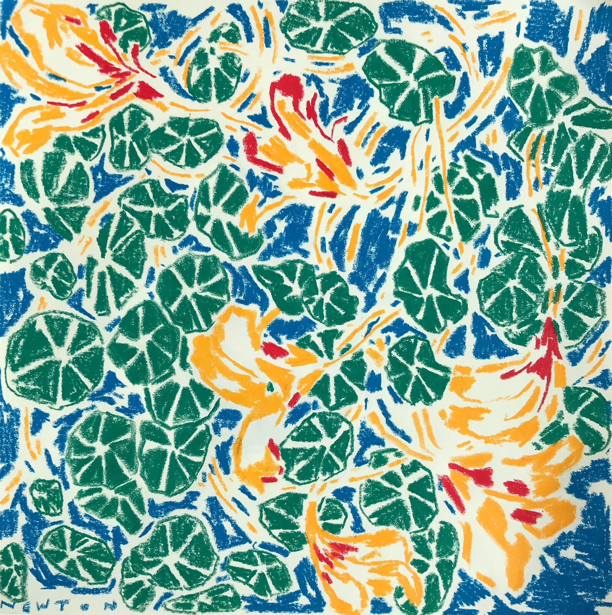 Nasturtiums, crayon on paper