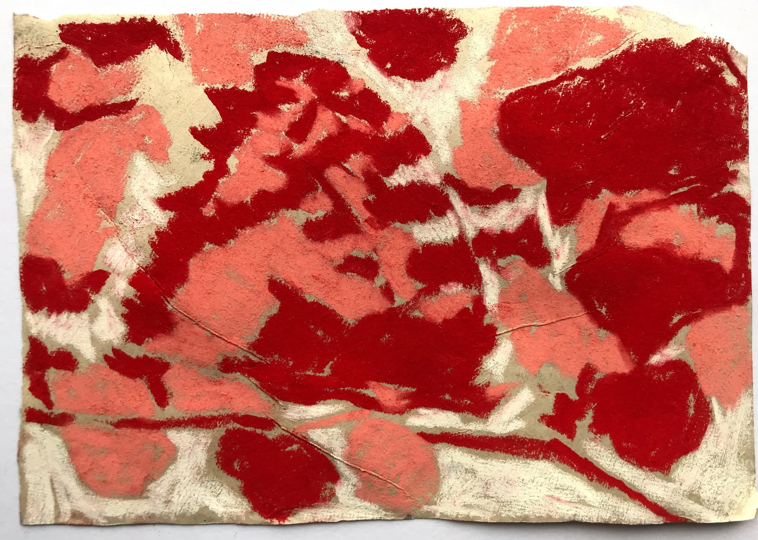 Red moth, pastel on paper