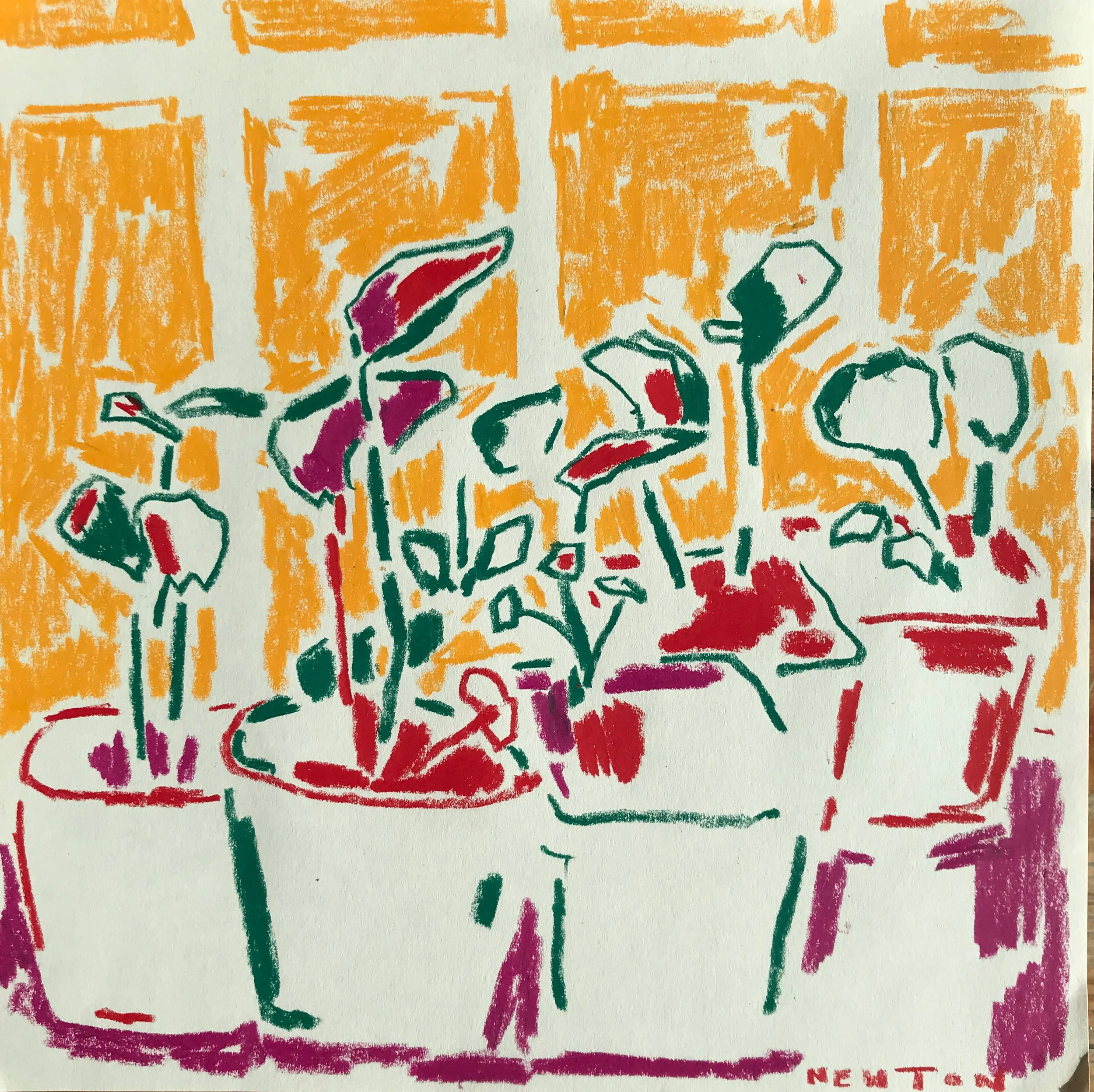 Tomato seedlings, crayon on paper