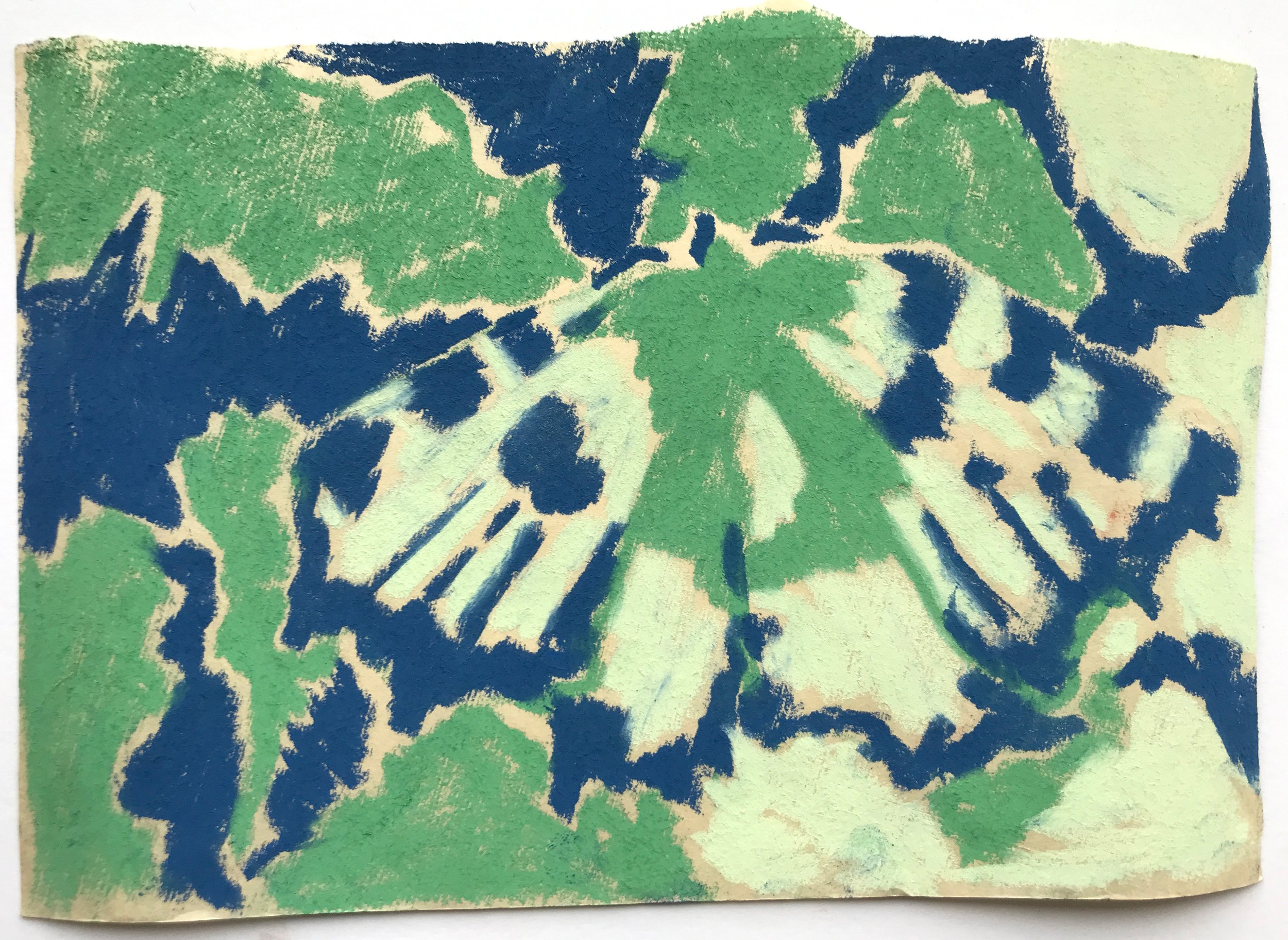Green moth, pastel on paper