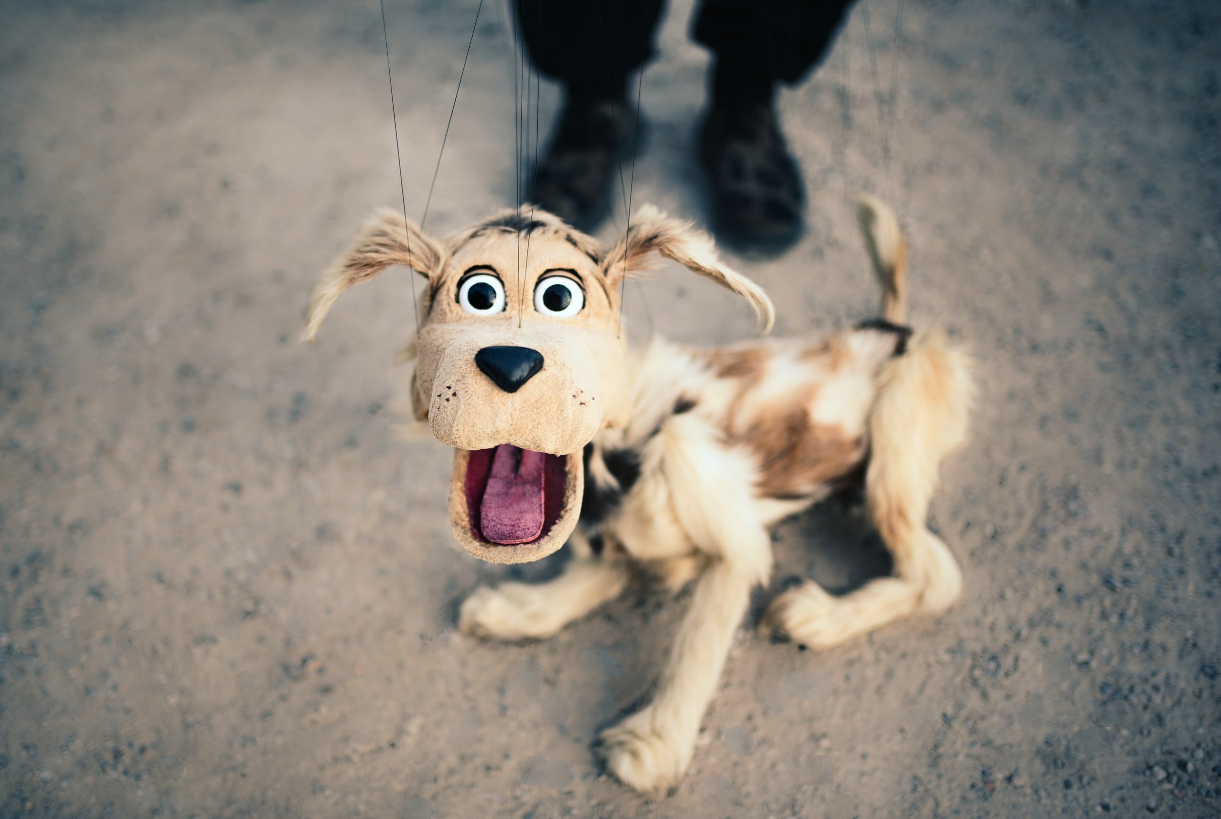 Put on a puppet show