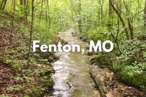 Fenton, MO