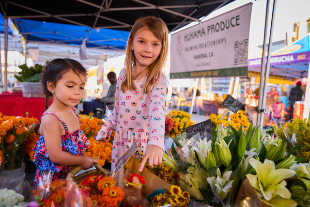 060_Unplugged_2024_CeCephoto Medium.png