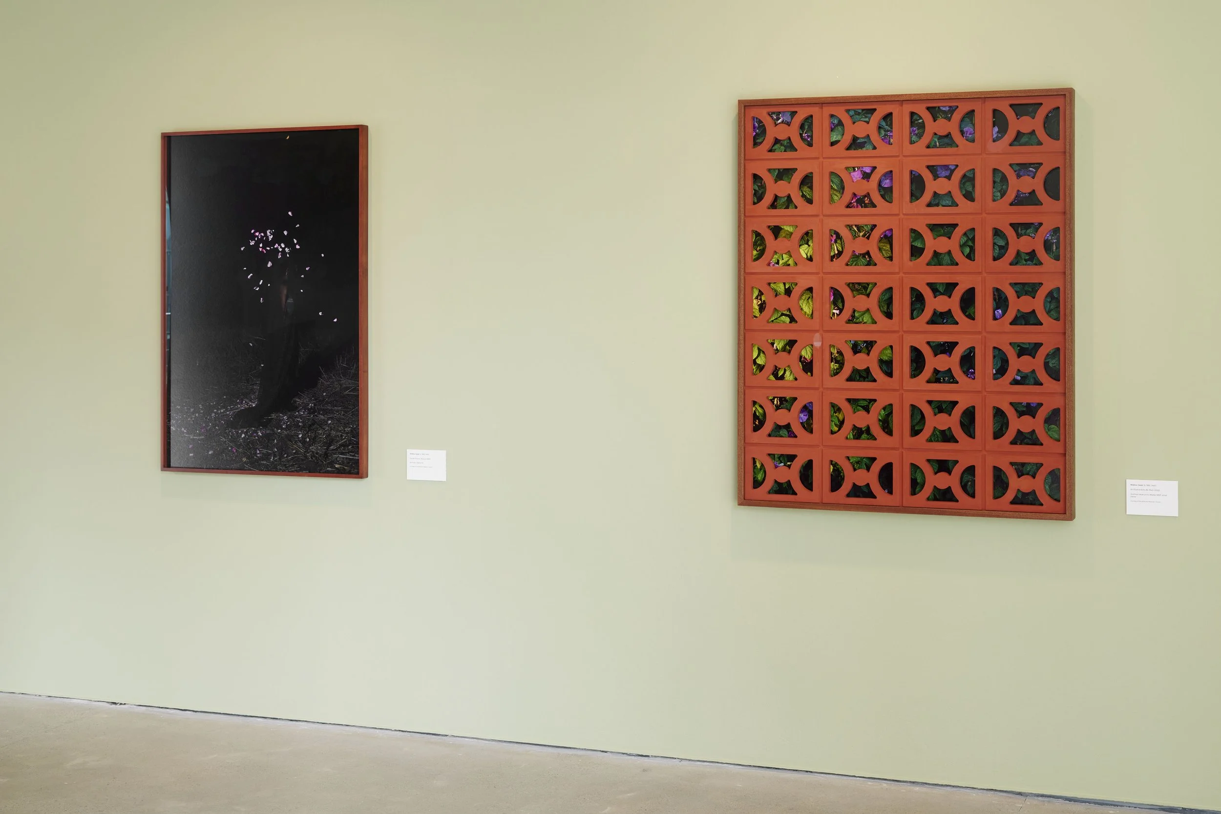 Widline Cadet, Open Eye Gallery