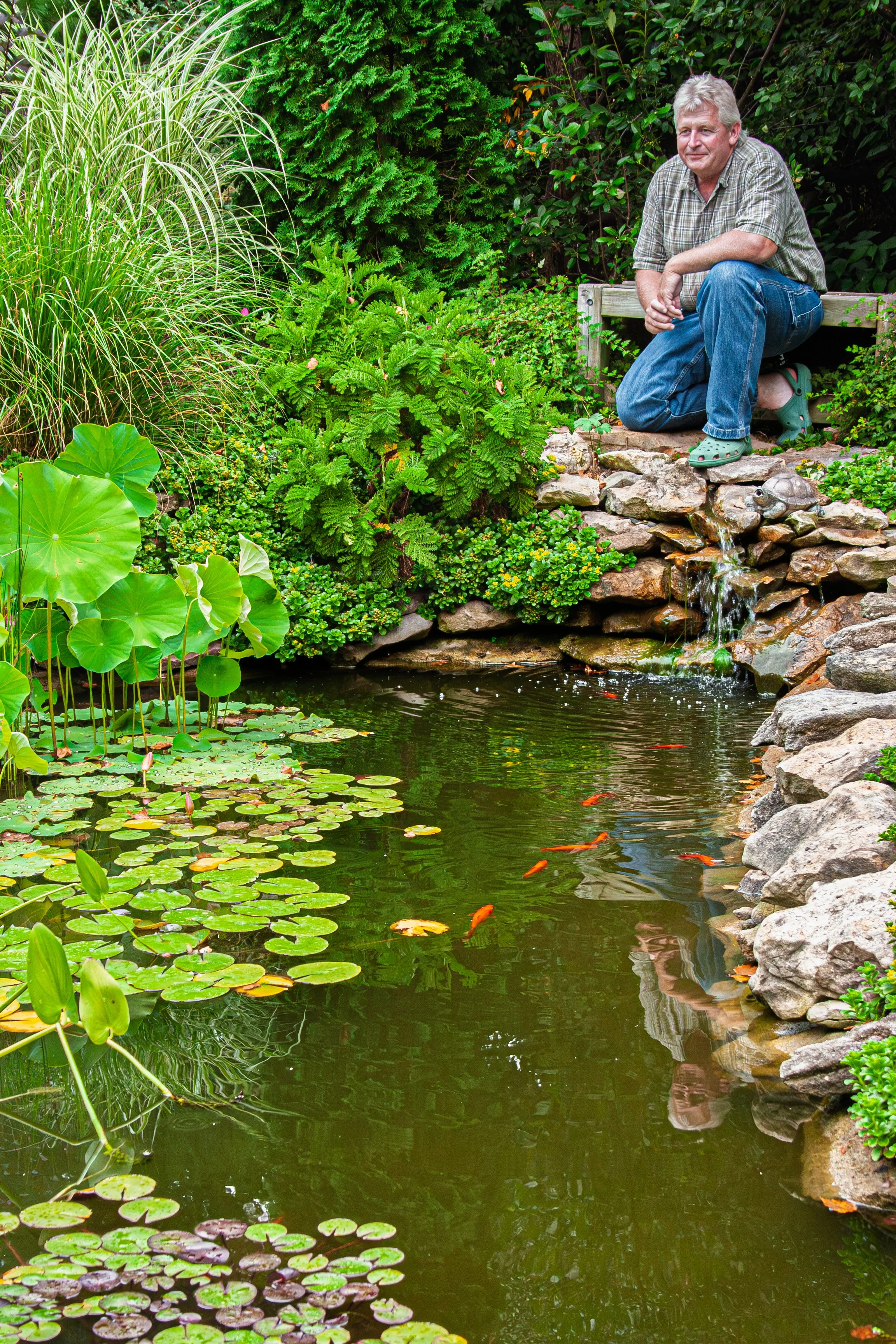 A man in a plaid shirt kneeling on rocks beside a pond with lily pads and orange fish, surrounded by lush green plants and bushes.