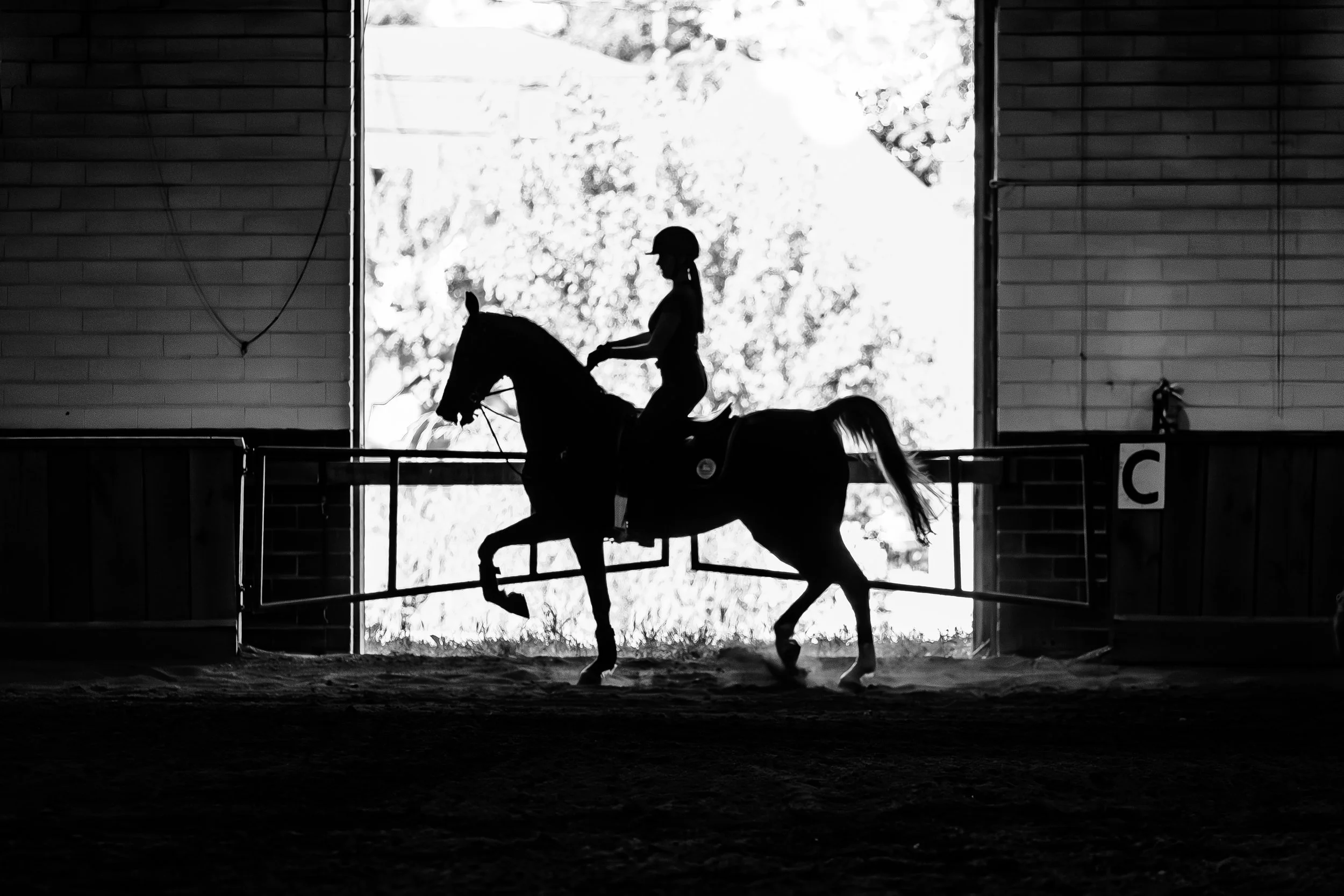 Silhouette of a person riding a horse inside an indoor riding arena, with a sunny outdoor scene visible through large windows in the background.