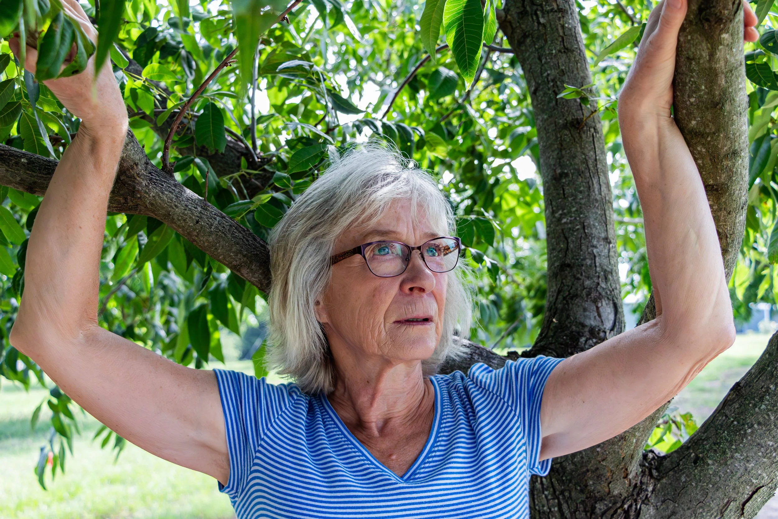 An elderly woman with gray hair and glasses standing outdoors among green trees, holding onto a tree branch with her arms raised, wearing a blue and white striped shirt.