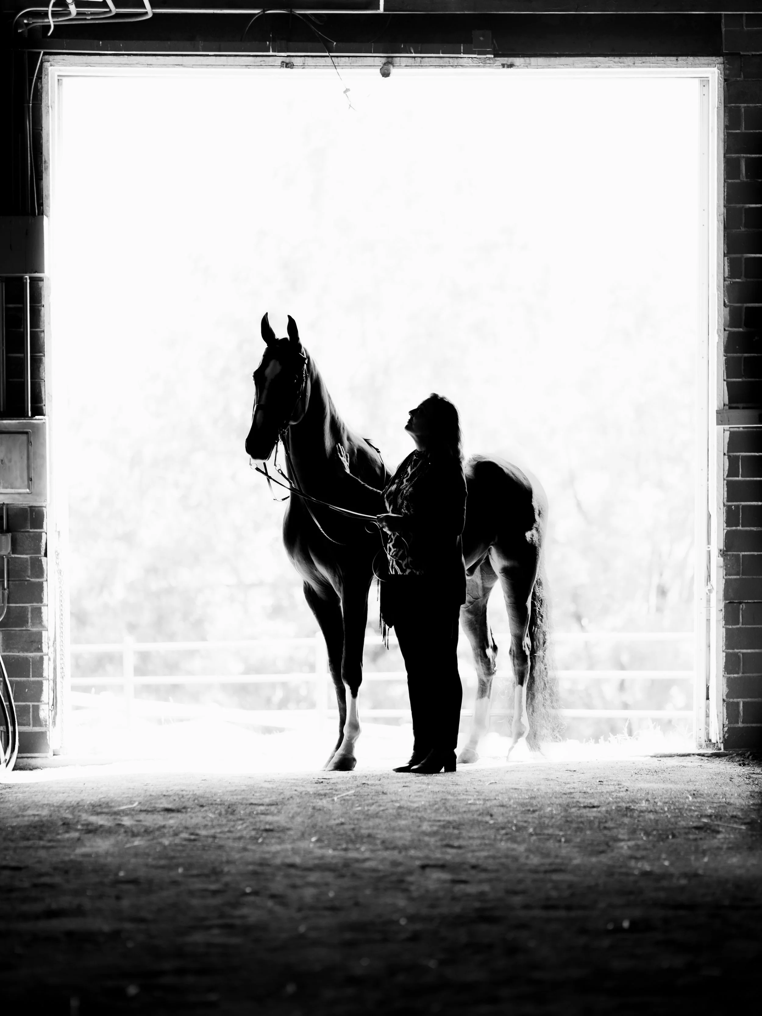 A person standing next to a horse inside a barn, silhouetted against an open door with bright light outside.