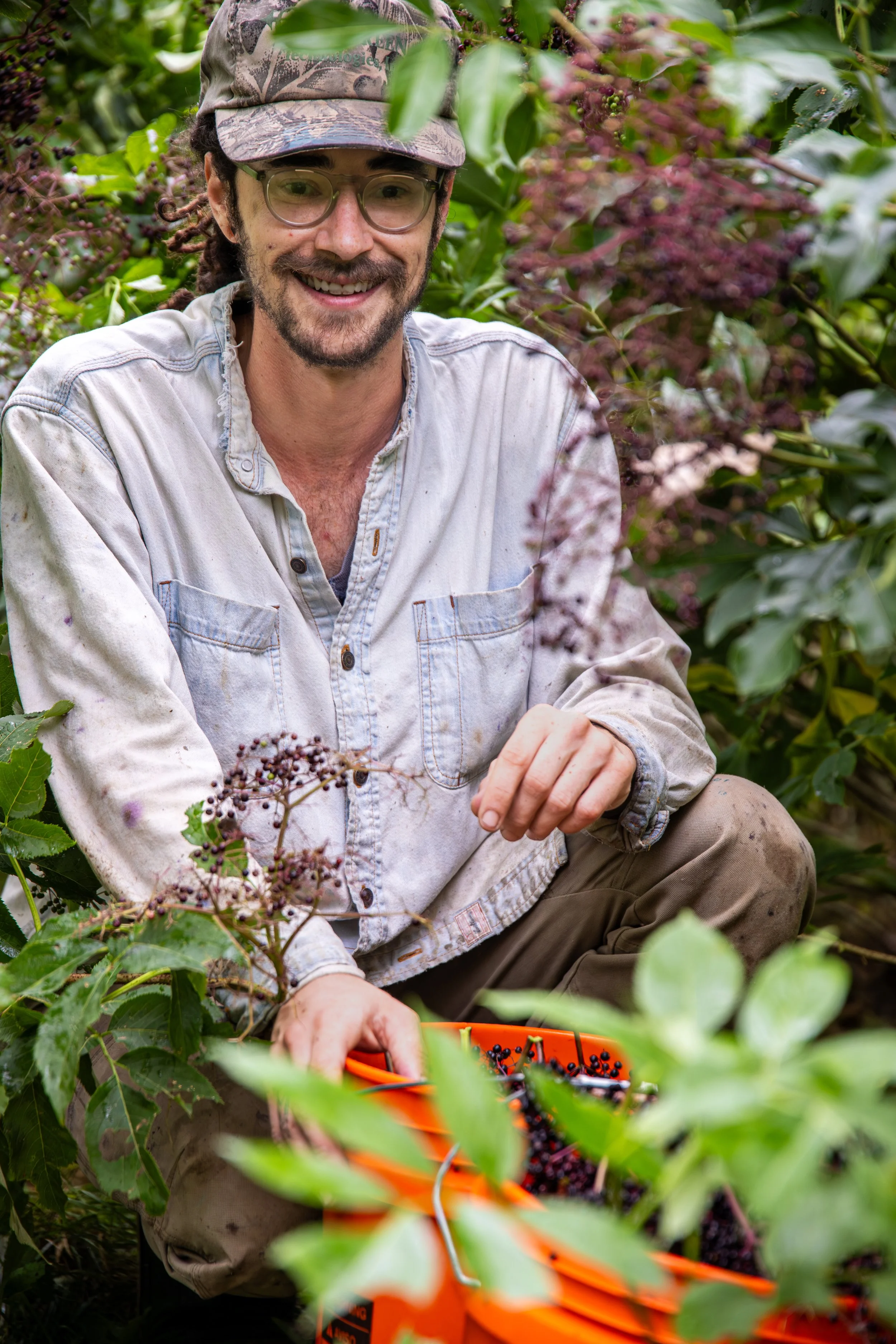A man with glasses, a beard, and a camouflage cap, smiling while picking blackberries in a lush, green garden.