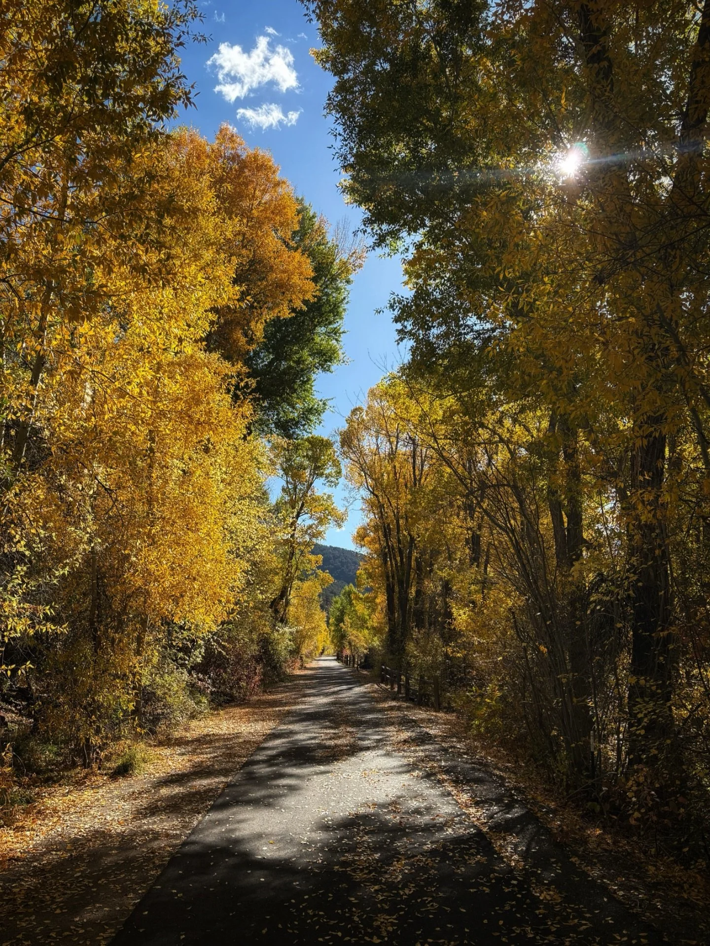 forever in awe of biking in colorado ⊹ carbondale to aspen a few weeks ago
.
.
.
.
.
#colorado #biking #cycling #aspen #autumn #gold