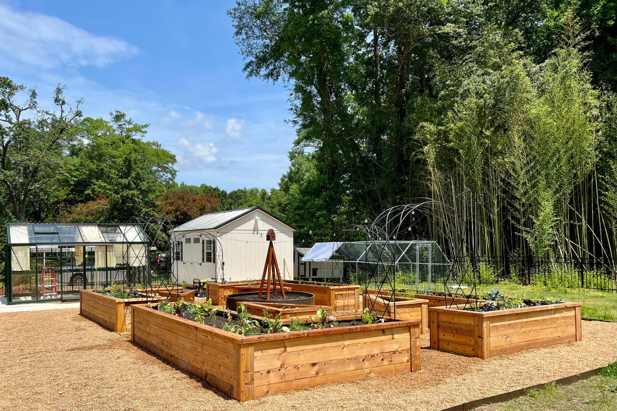Raised garden beds arranged for clear access and long-term food production.