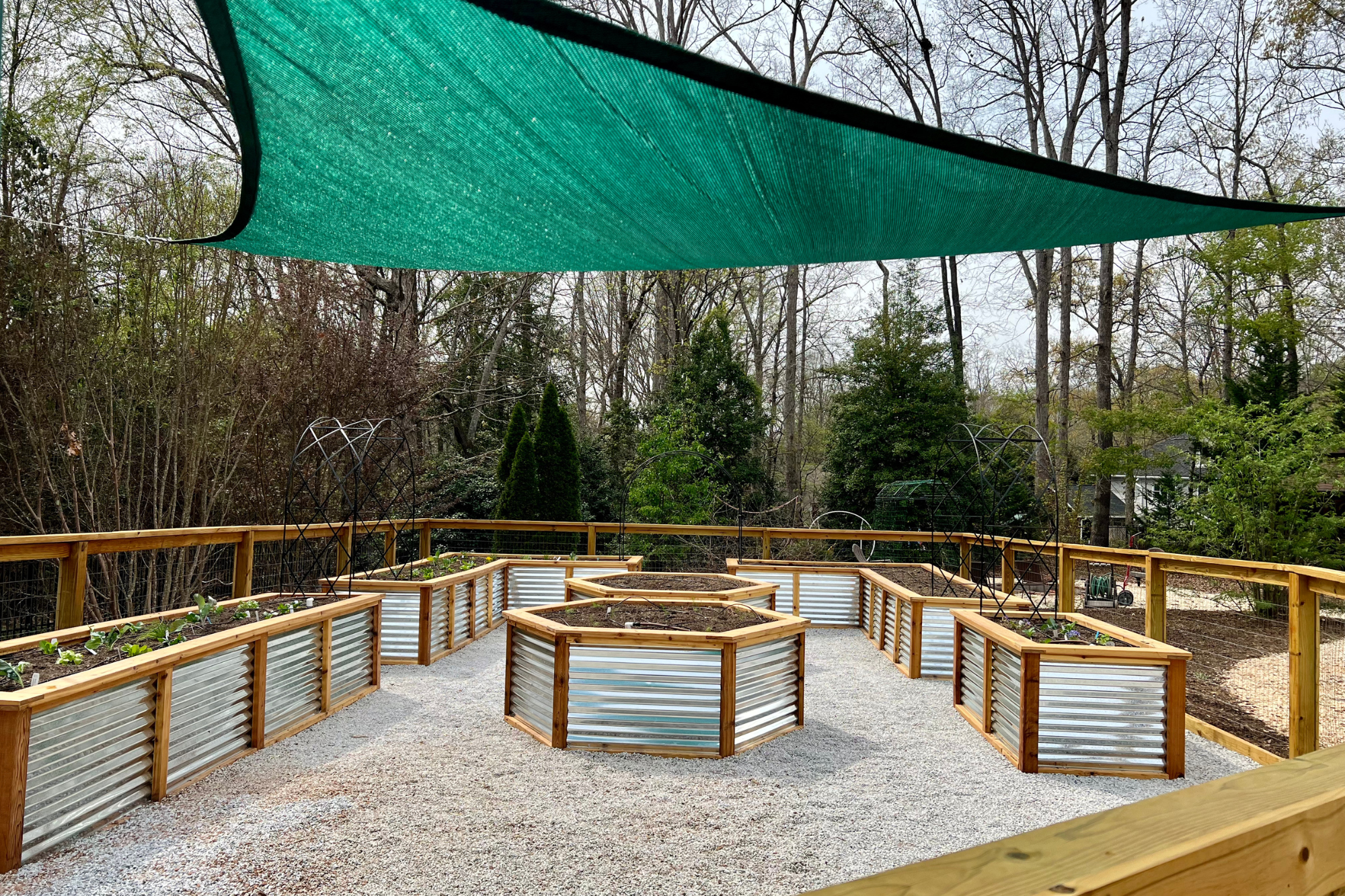 Kitchen garden with raised beds arranged beneath a shade sail for summer comfort and regular use.