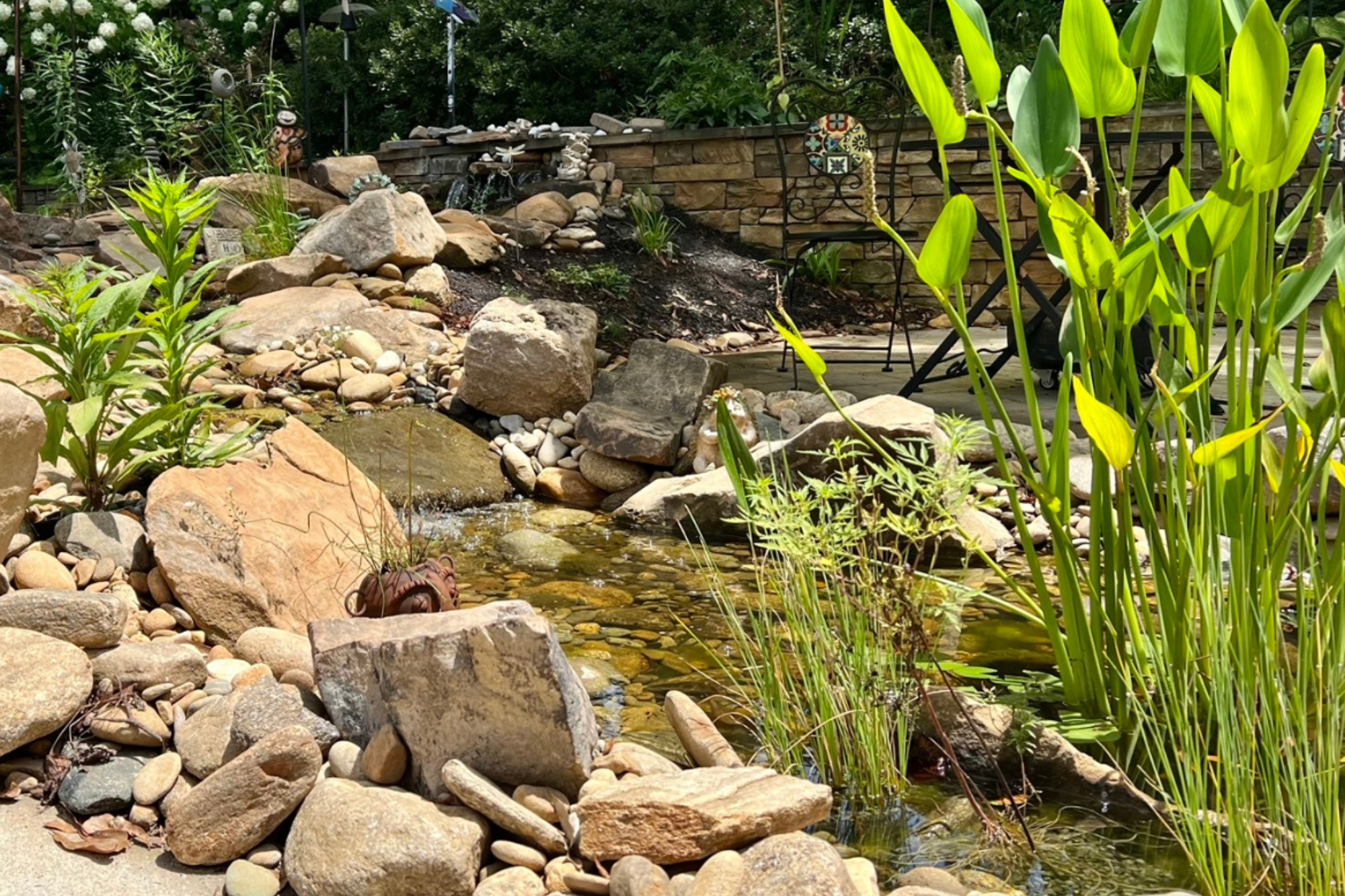 Pond edge with aquatic plantings and stonework adjacent to a residential patio seating area.