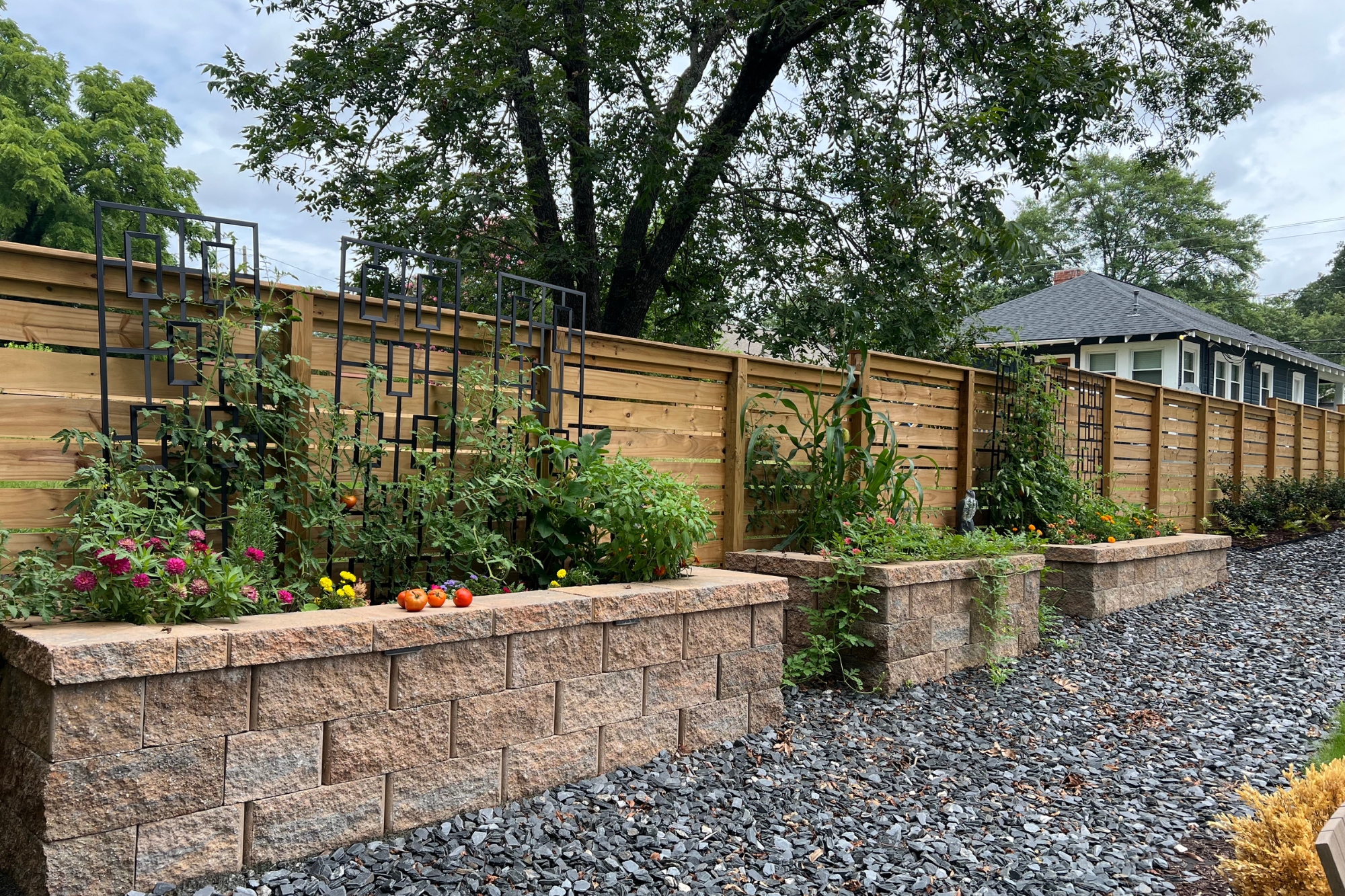Raised bed kitchen garden with mature vegetable plantings climbing metal trellises, combining productive food growing with clean, formal landscape design.