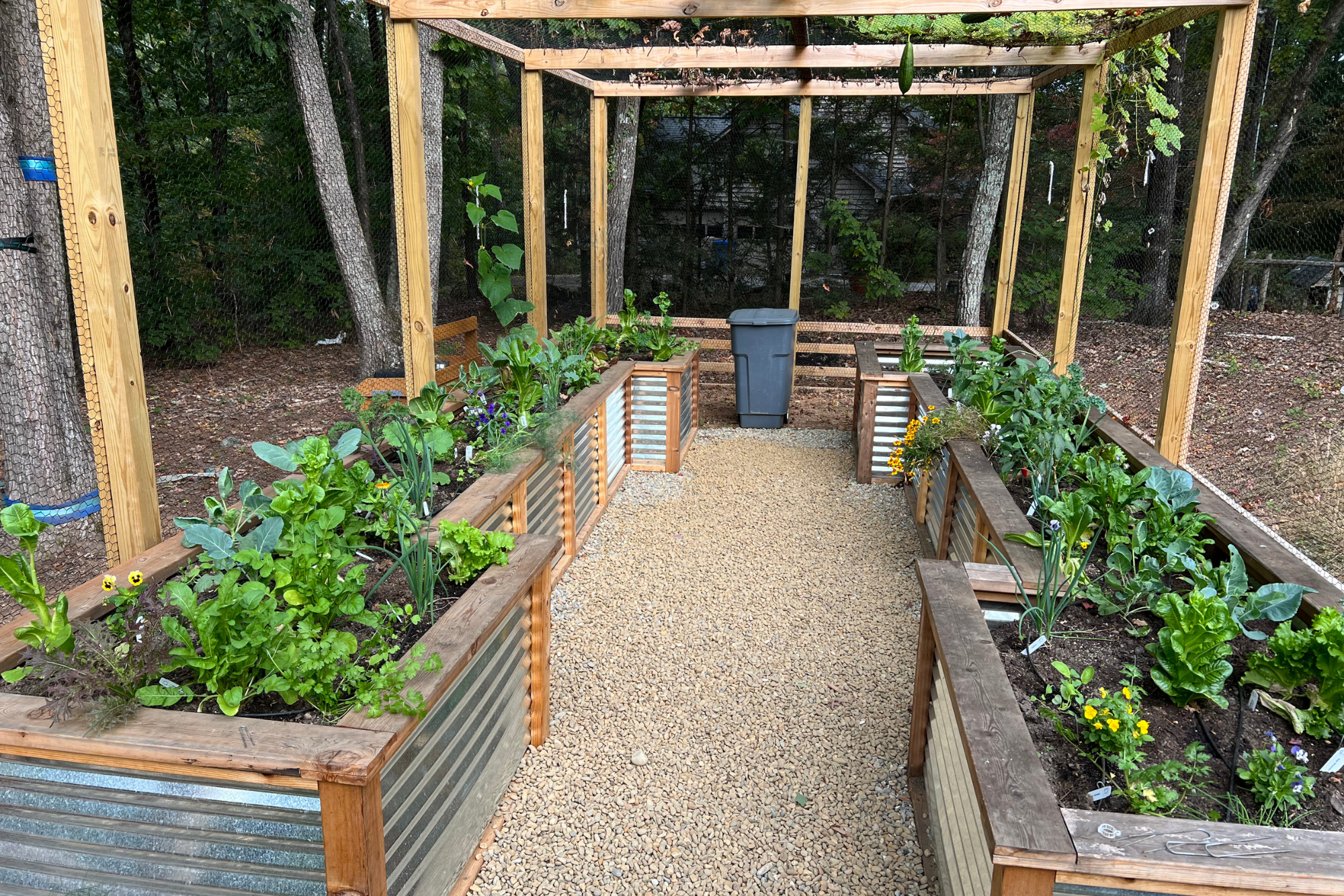 Raised garden beds arranged inside an enclosed kitchen garden for protected food production and ease of access.
