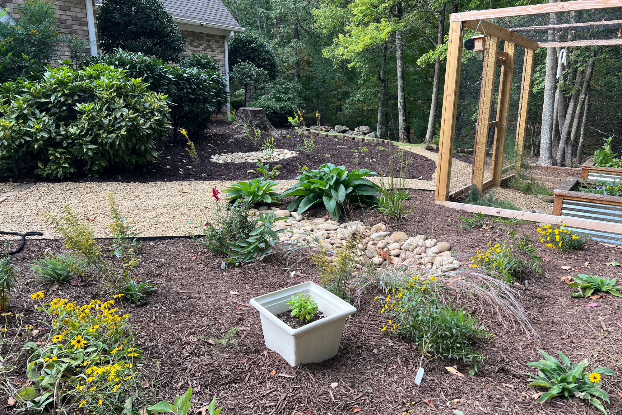 Native planting and gravel pathways installed alongside an enclosed kitchen garden to manage water flow and site conditions.