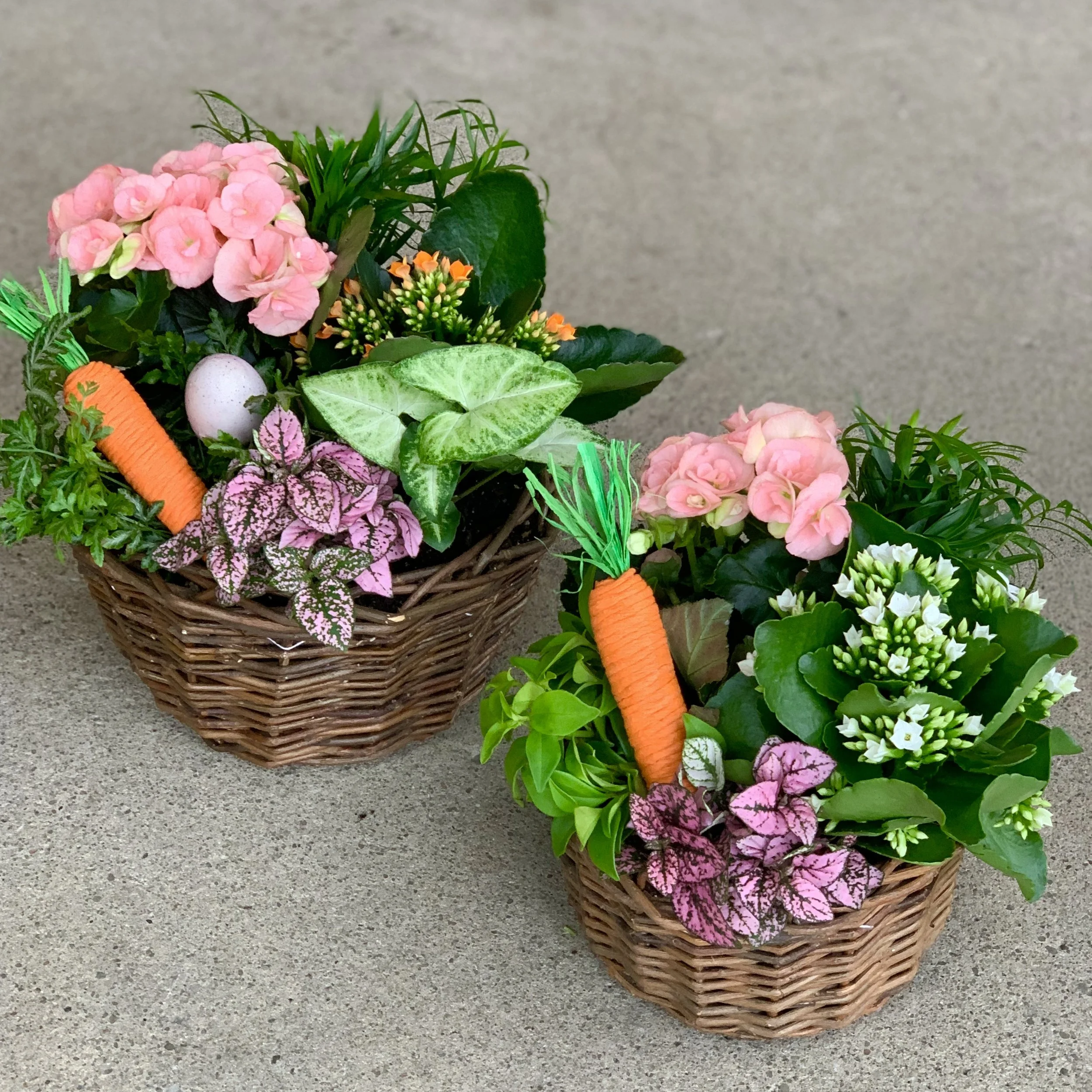 Classic Easter Basket Plant Arrangement