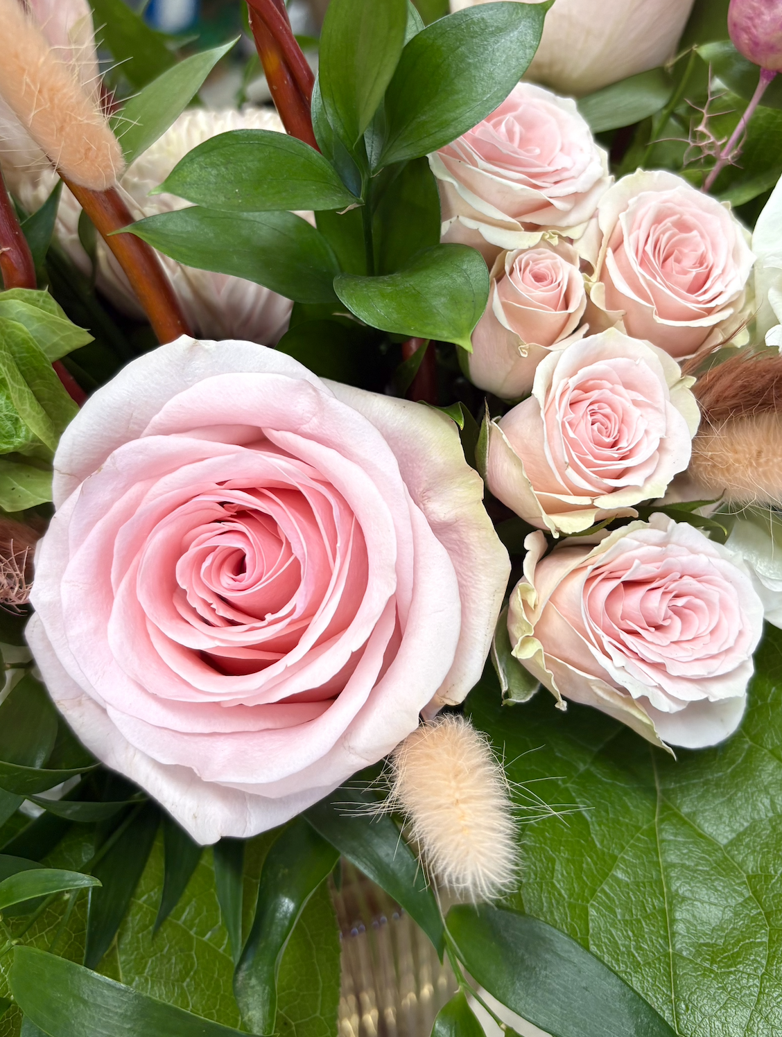 Screenshot 2026-02-04 at 3.07.46 PM.png